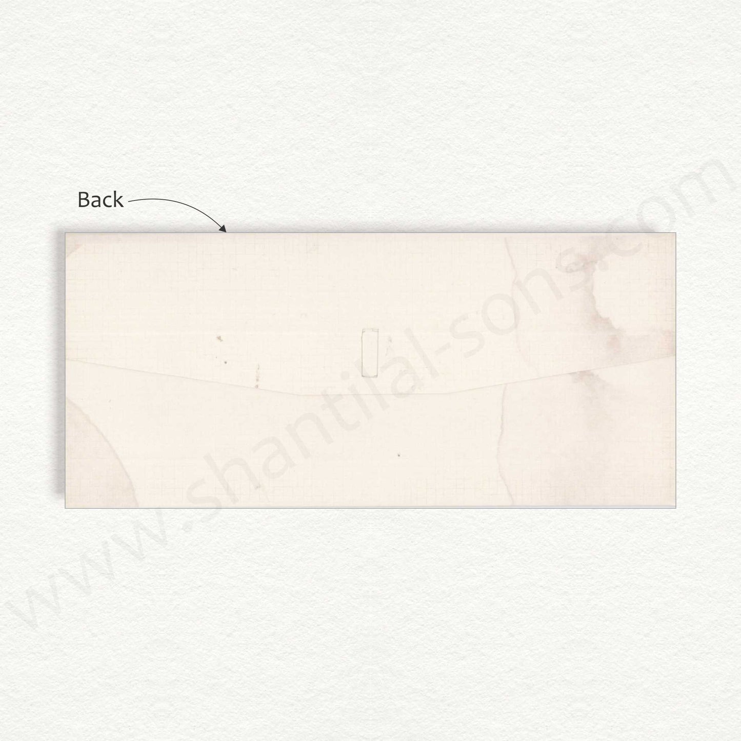 Classy Cash Envelope | G-36
